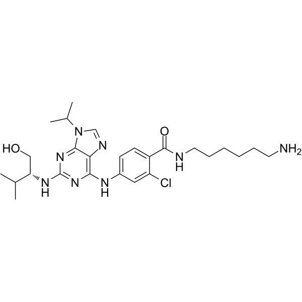 Protein kinase affinity probe 1 2098621-90-8